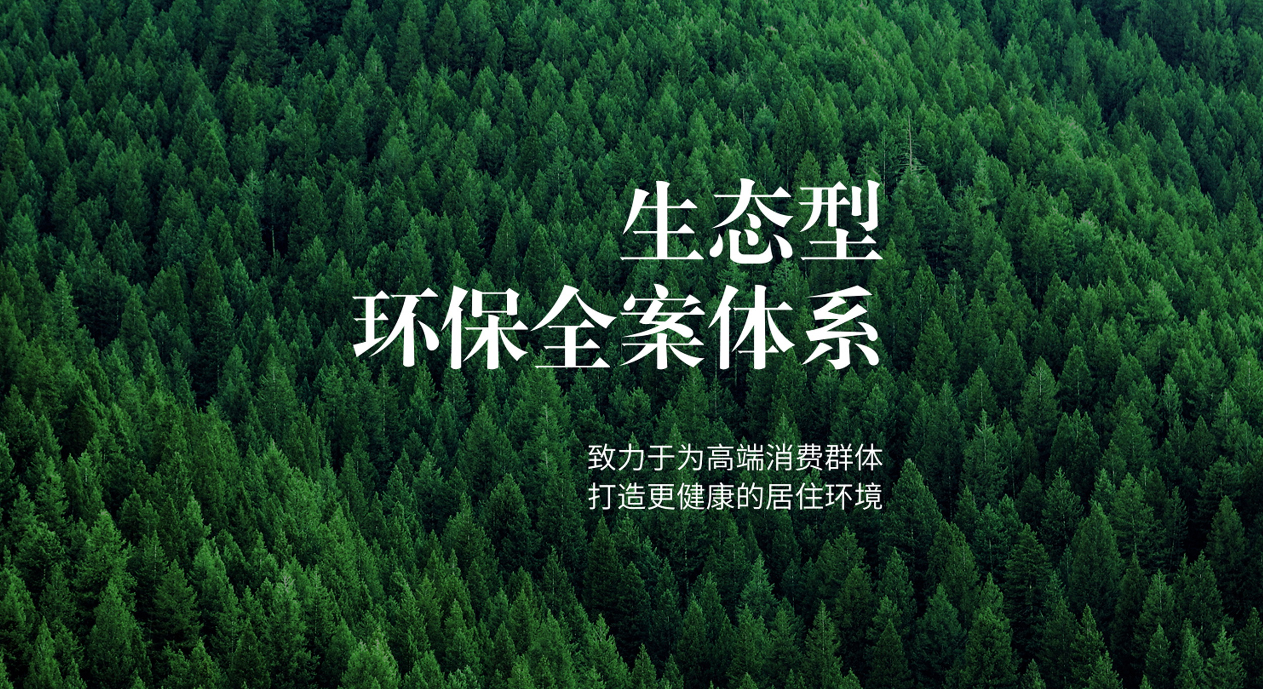 企業(yè)榮譽(yù)